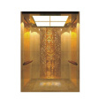Customized Cabin House Elevator Lift For 6 Persons